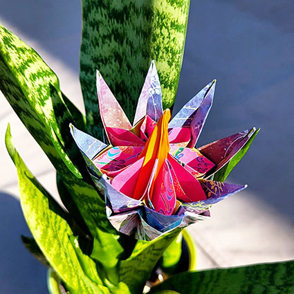 Campus bei uns - Modulare Origami-Blumen
