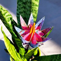 Campus bei uns - Modulare Origami-Blumen