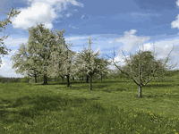 Konzert: Im wunderschönen Monat Mai