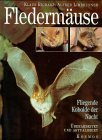 Fledermaeuse.jpg